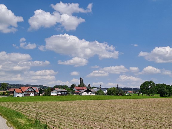Alberndorf in der Riedmark