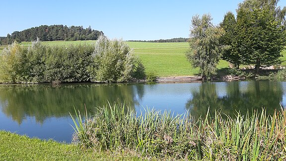 Grasser Teich, Berbersdorf Grasser Teich, Berbersdorf
